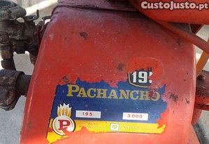 imagem_2