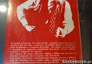 imagem_8