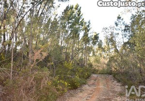 Terreno Agrícola em Chãos