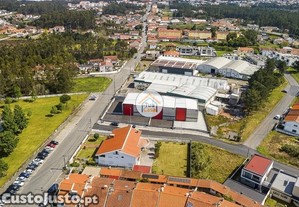 imagem_17