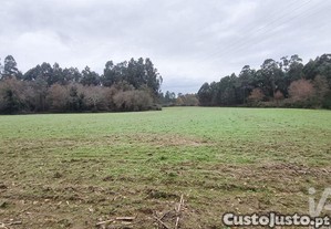 Terreno Agrícola em Cornes