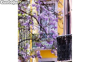 Prdio Em Lisboa - Projecto P Hotel - Prime...