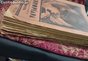 imagem_3