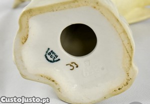 imagem_12