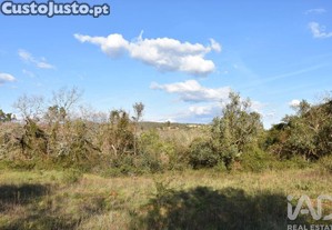 Terreno Agrícola em Chãos