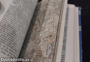 imagem_3