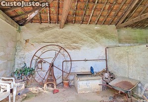 imagem_28