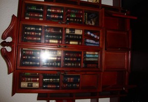 Biblioteca miniatura