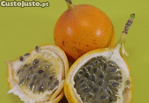 Granadilla - Passiflora ligularis (10 sementes)