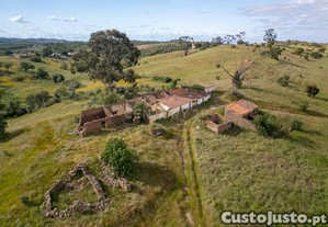 Ruina com terreno de 10,325 hectares localizada em Monte de Cordoves, Ourique