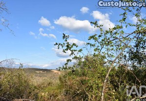imagem_34