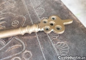 imagem_4