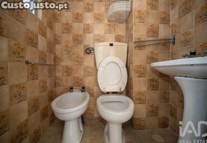 imagem_12
