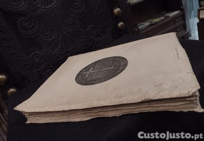 imagem_12
