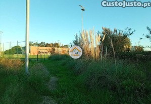 imagem_13
