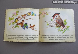 imagem_2