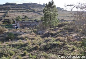 Complexo De Agro-Pecuria Para Recuperar