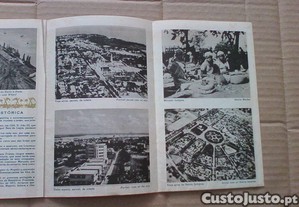 imagem_4