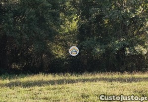 imagem_17