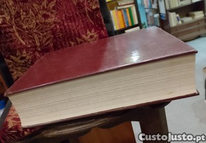 imagem_7