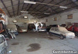 imagem_12