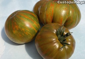 Tomate Berkeley Tie Dye (20 sementes)