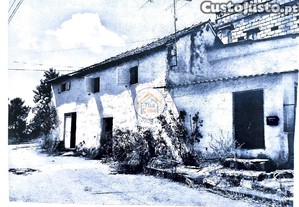 imagem_12