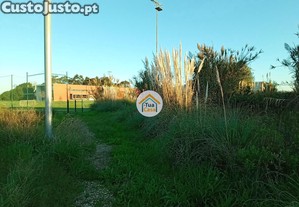 imagem_14