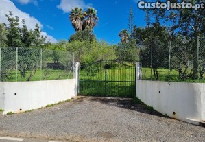 Terreno Urbano Totalmente Vedado Para...