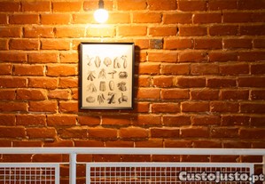 imagem_29