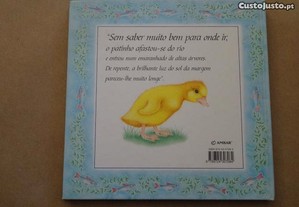 imagem_4