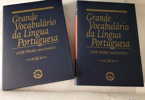 Grande vocabulário da língua portuguesa - NOVOS