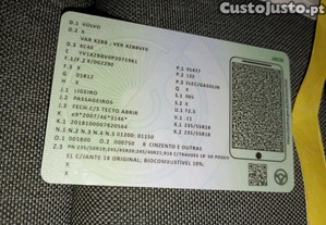 imagem_22