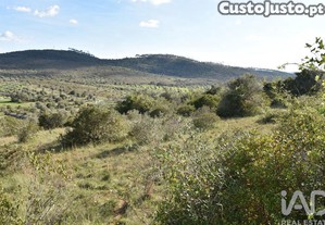 Terreno Agrícola em Chãos