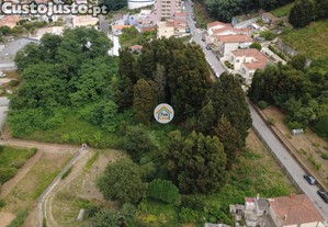 imagem_11