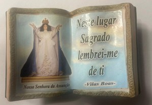 imagem_2