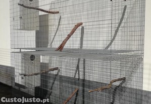Gaiolas