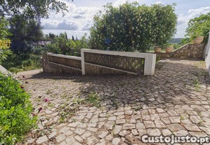 imagem_17