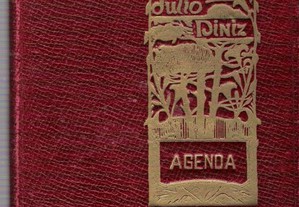 Agenda Júlio Diniz, 1910.