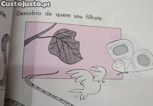 imagem_6
