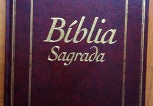 Bíblia Sagrada (Edição Pastoral) 15 v