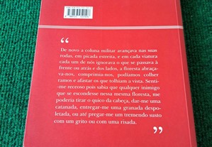 imagem_2