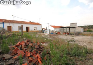 imagem_12