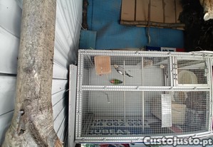 dois agaponeis e ofereço duas caturras