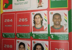 imagem_3