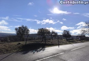Terreno Rstico em Bragana - Oportunidade nica por 80.000 
