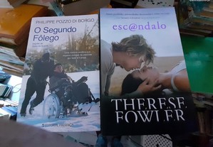 imagem_2
