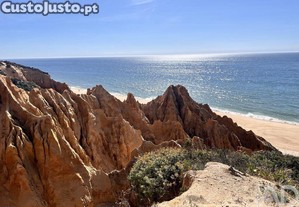 imagem_24