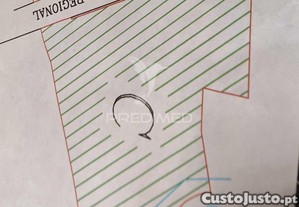 imagem_11