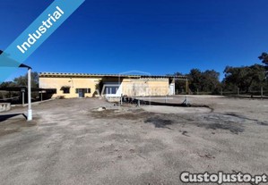 Armazm da banca com 878m2 inserido num terreno com 11.310 m2 situado prximo da Chamusca